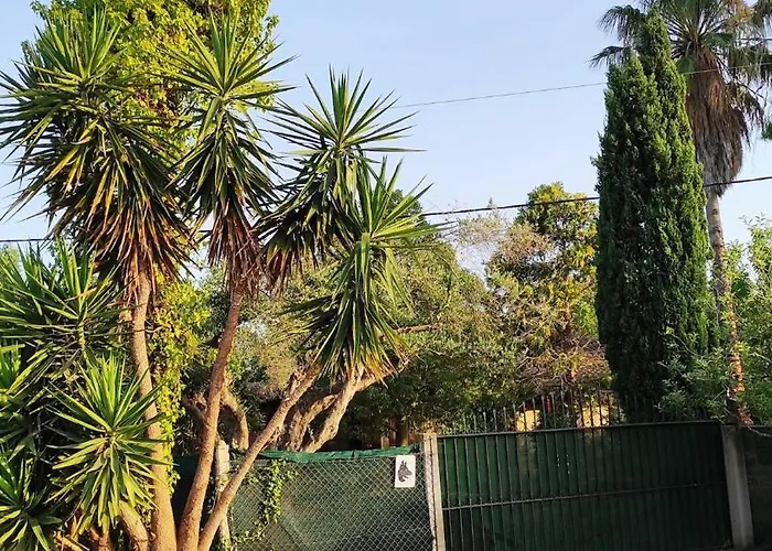 Lea's ηοme * Kourouta