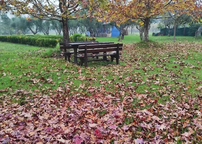 Lea's ηοme * Kourouta