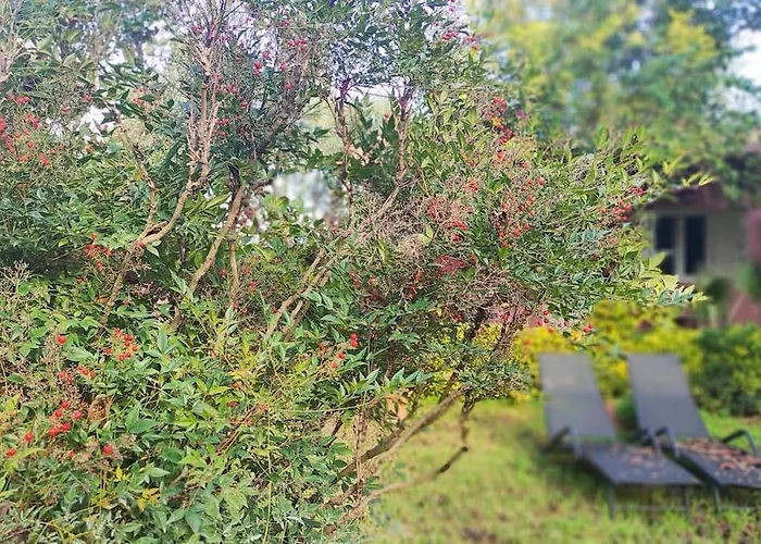 Lea's ηοme Vakantiehuis *