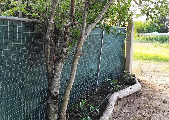 Lea's ηοme * Kourouta