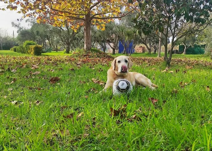 Vakantiehuis Lea's ηοme *