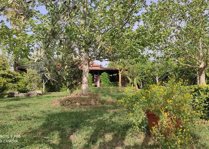 Vakantiehuis Lea's ηοme Kourouta